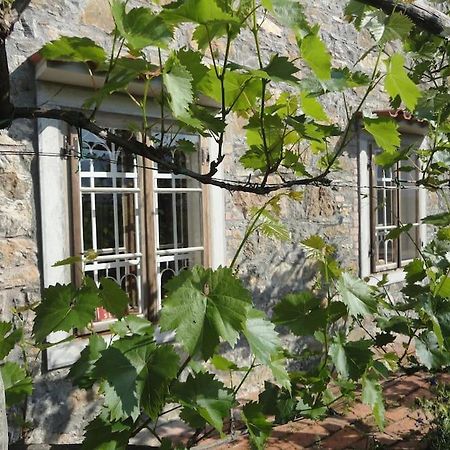 A Lovely House In Vipava Valley Exteriér fotografie