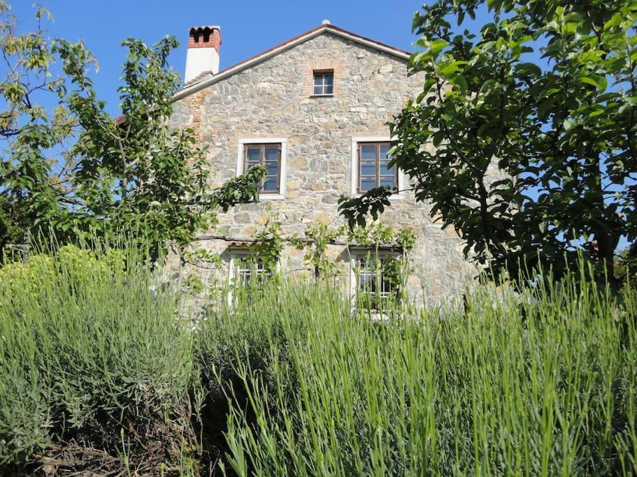 A Lovely House In Vipava Valley Exteriér fotografie