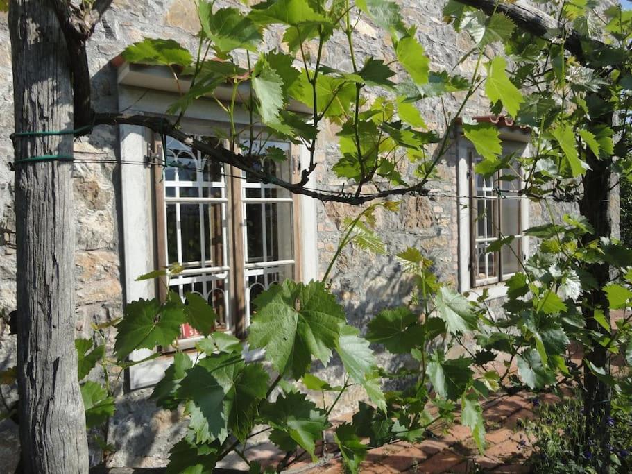 A Lovely House In Vipava Valley Exteriér fotografie